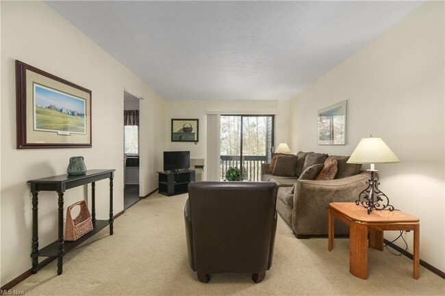 Living Room Facing Balcony - 27467 Westown Blvd