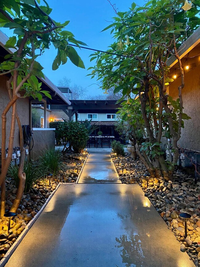 Courtyard Walkway - 705 W Valley Dr Apartments