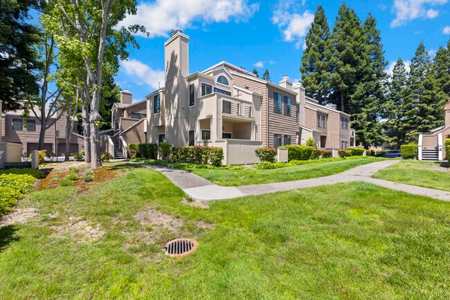 Foto del edificio - 309 S Overlook Dr