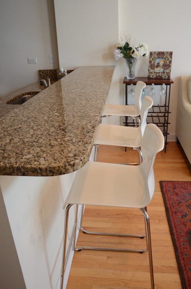 Building Photo - Condo quality one bedroom in Lakeview