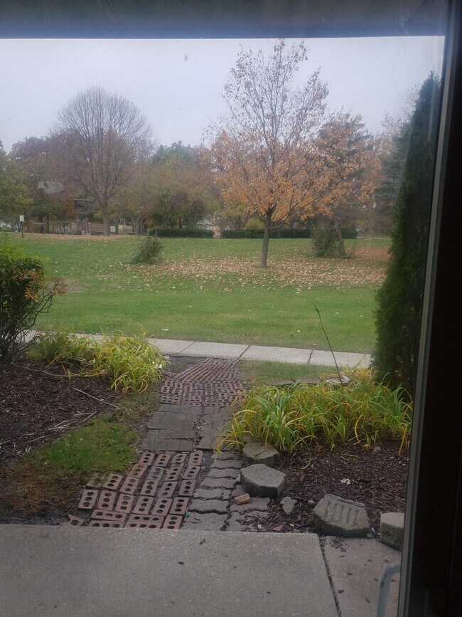 View out of the Patio to Echo Park - 2548 Waterbury Dr