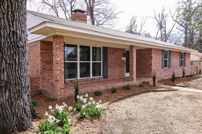 Building Photo - Beautifully Renovated Historic Home with a Large Backyard!