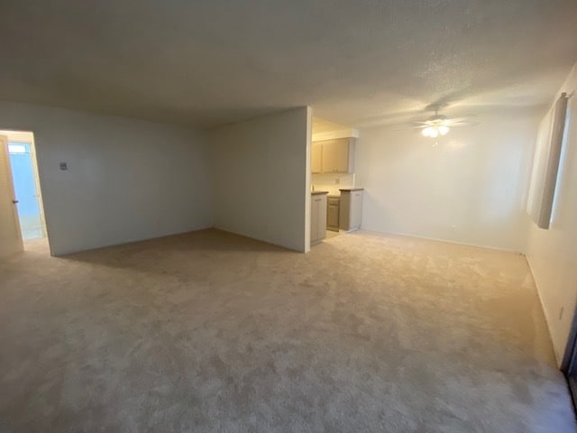 Spacious, Open LR - 1247 Amherst Ave