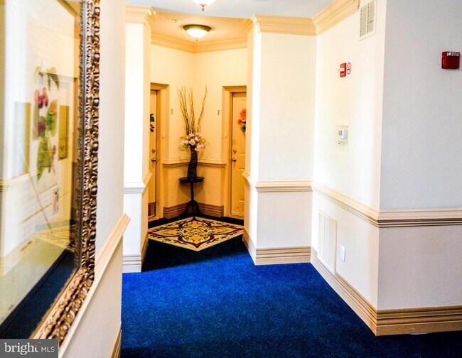 Foto del edificio - 2007 Connor Ct