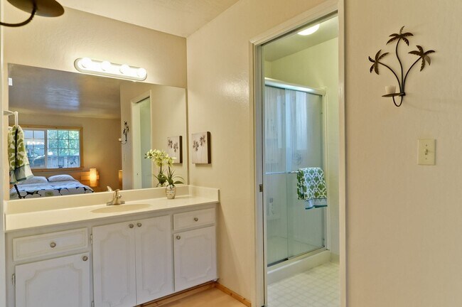 Foto del edificio - Gorgeous Three Bedroom Two Bathroom in San...