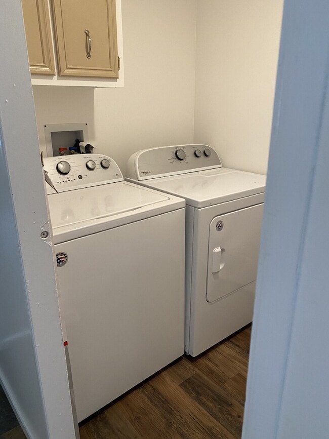 Building Photo - 3 Bedroom in Rifle