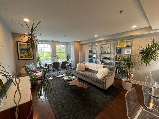 20' x 15' Living/Dining area - 1618 11th St NW