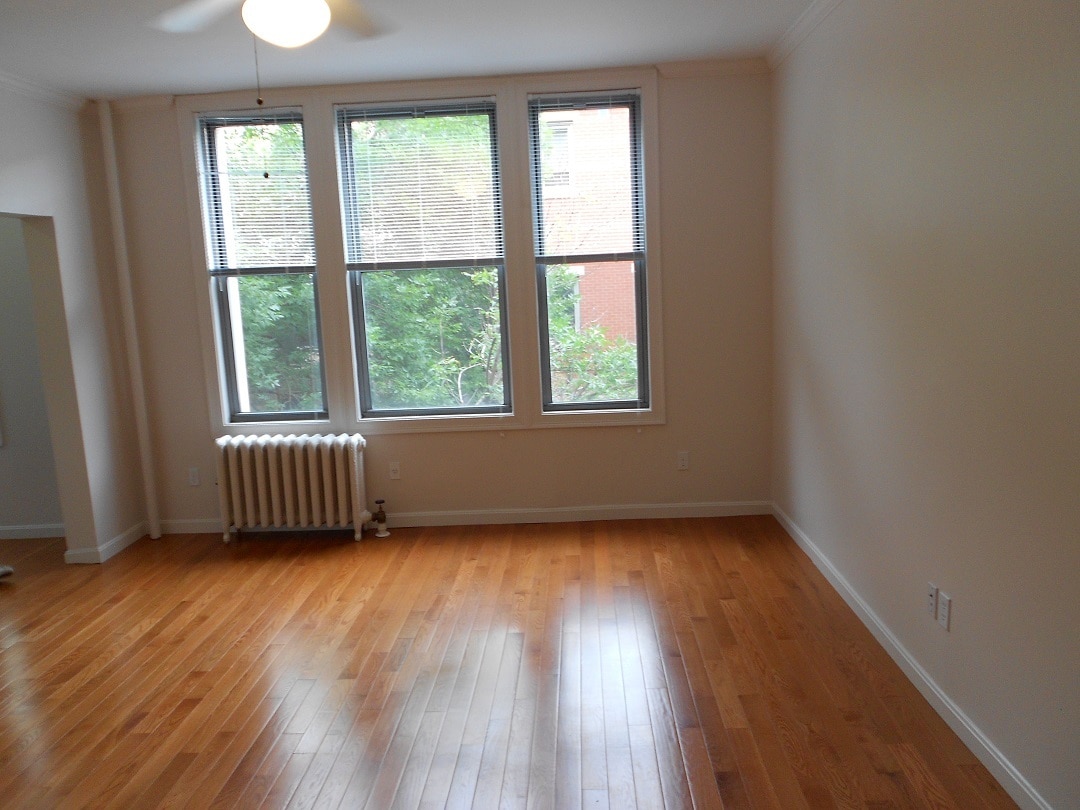 Primary Photo - 7 Haviland St