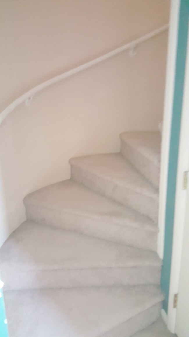 Apartamento 7 escalera circular - 604 Bacon Trl