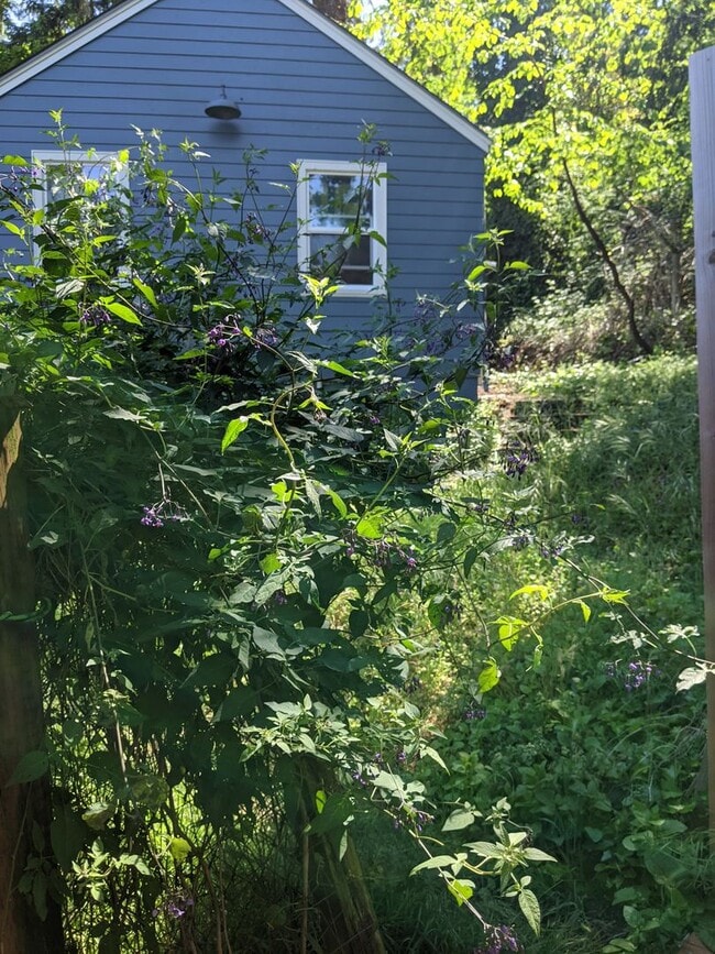 Photo - wita20 Apartment