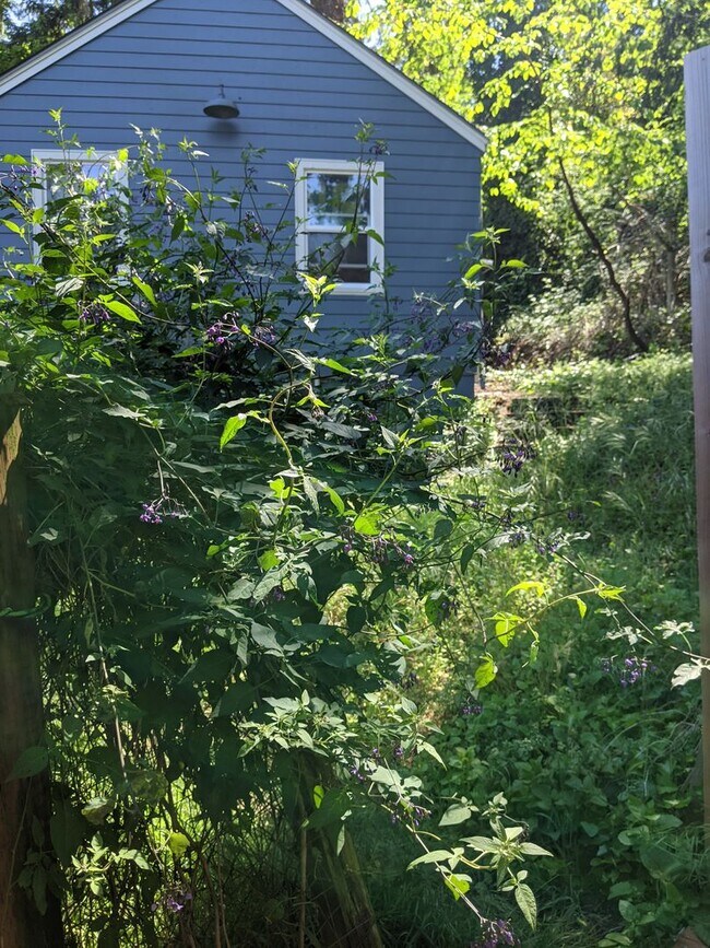 Foto del edificio - wita20