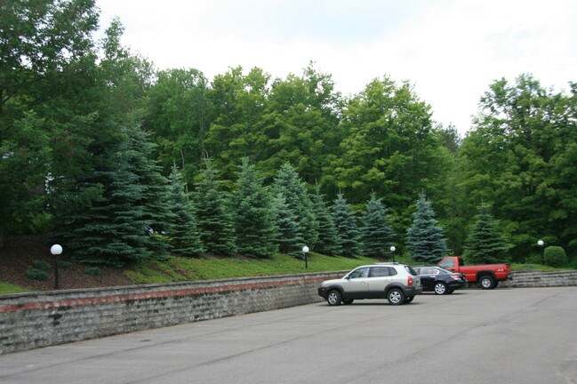 Aparcamiento - 1307 Dryden Rd