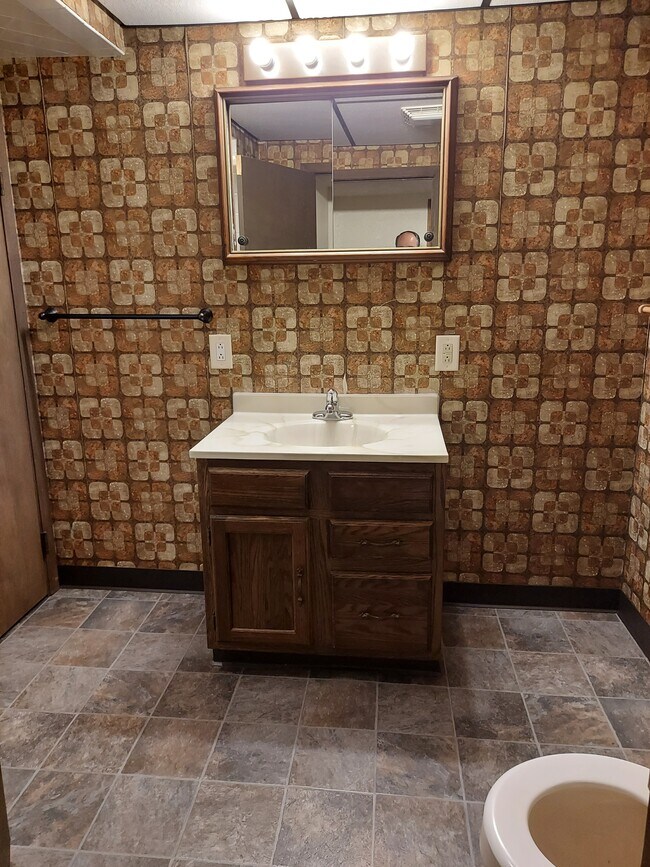 Basement Bathroom - 546 Pearl Ave