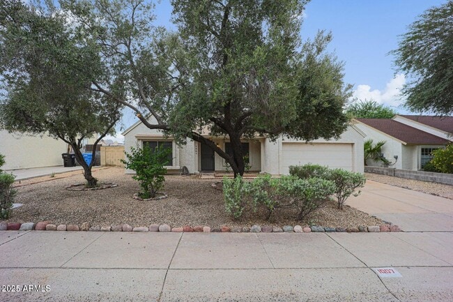 Building Photo - 1007 E Oraibi Dr