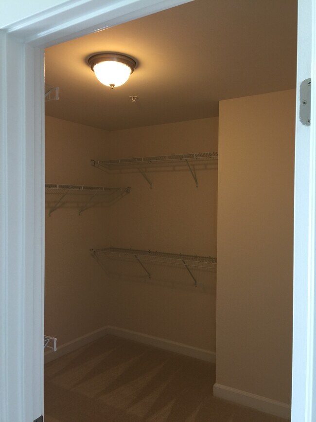 Foto del edificio - 5423 Stream Bank Ln