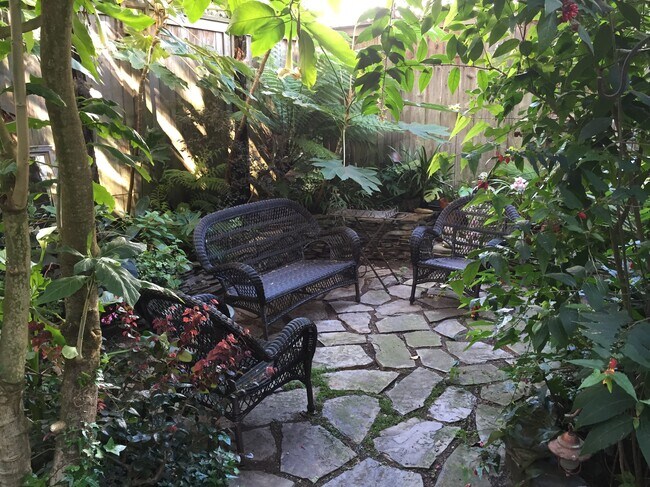 Garden - 935 Scott St