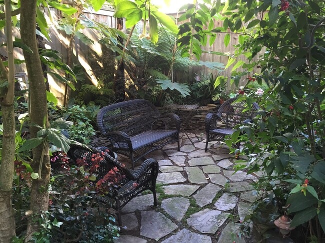 Garden - 935 Scott St