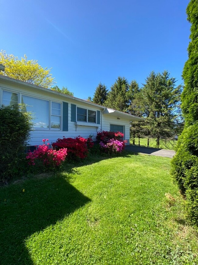 Building Photo - Bright & Breezy 3BR Ranch Ulster Park