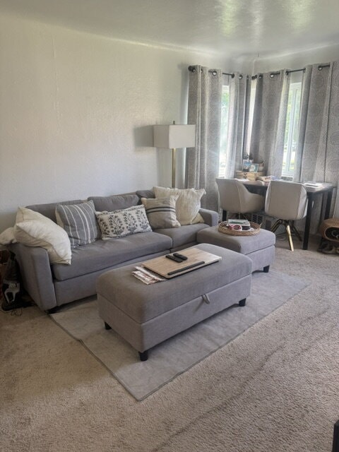 Building Photo - "Charming 1-Bed Urban Retreat in Denver's Heart - 575 Sq Ft of Cozy Living!"