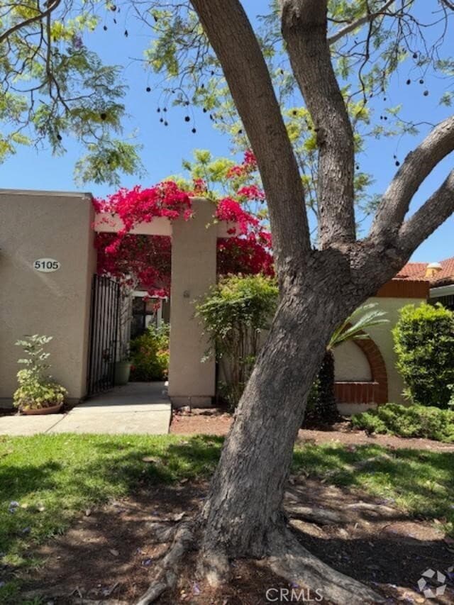 Building Photo - 5105 Avenida Despacio