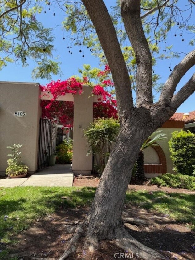 Foto principal - 5105 Avenida Despacio