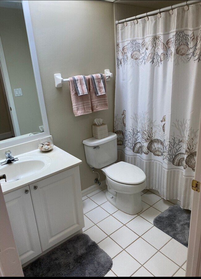 Guest bathroom - 7505 Silver Trumpet Ln
