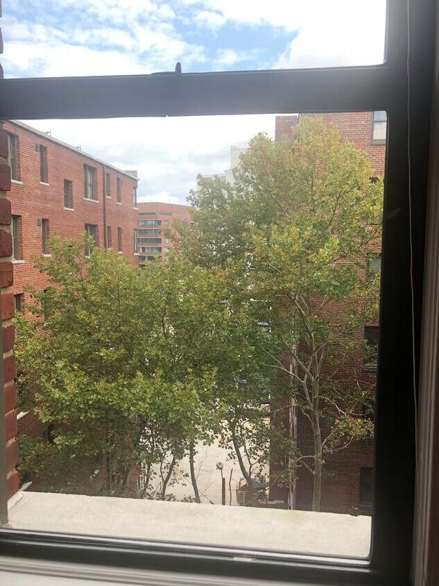 quiet courtyard view from living area. - 2515 K St NW