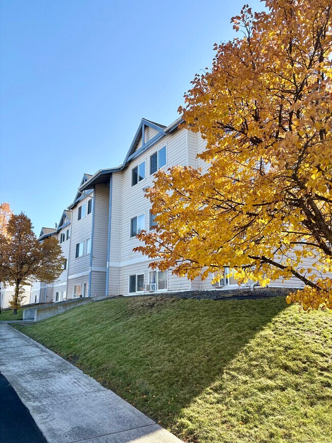 Foto del edificio - NORTHWOOD MANOR APTS