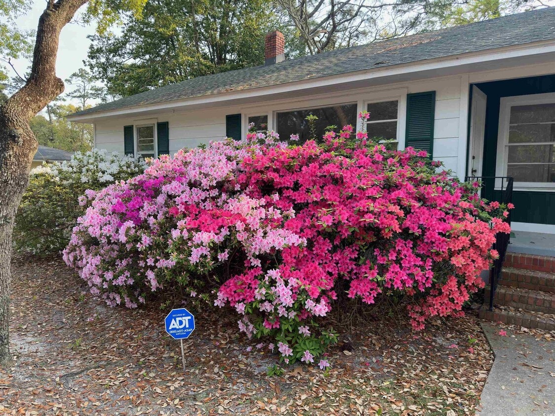 Foto principal - 519 32nd Ave N