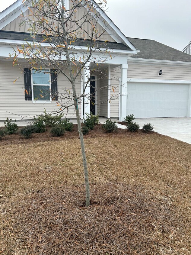 Primary Photo - 1114 Ridgeford Dr