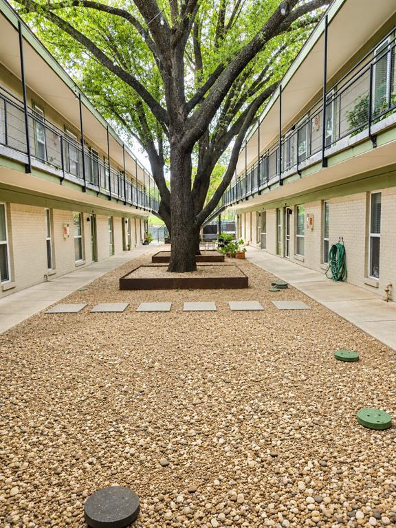 Foto del edificio - 2021 Bluebonnet Ln
