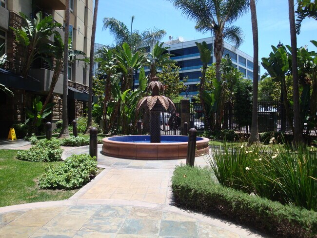 Un área de patio - 1465 C St