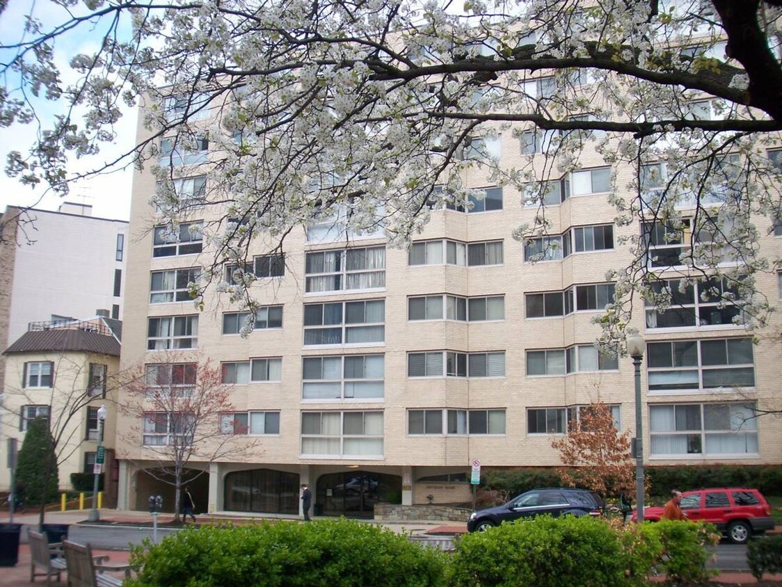 Primary Photo - Foggy Bottom Spacious Studio, Utilities In...