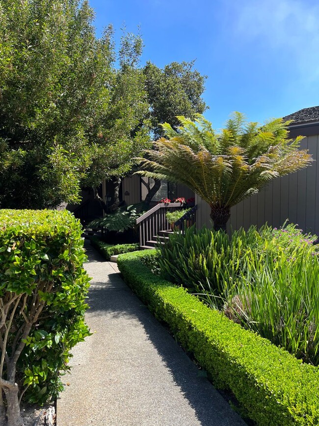 Building Photo - Beautiful Carmel home