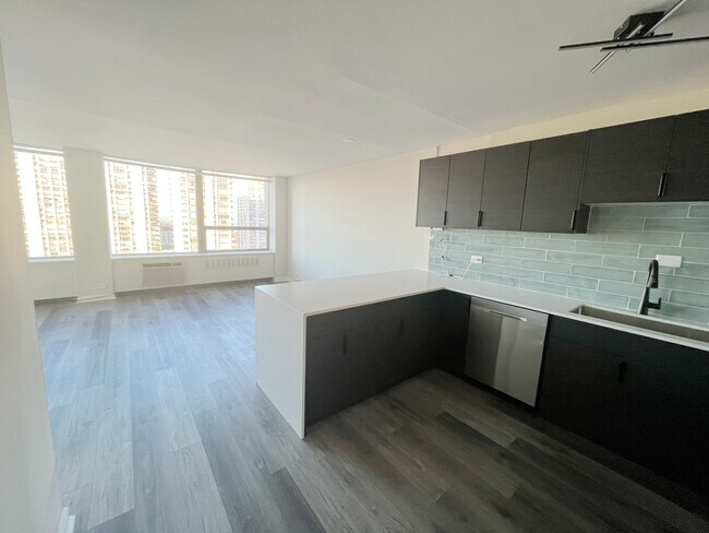 Foto del edificio - 1360 N Sandburg Terrace