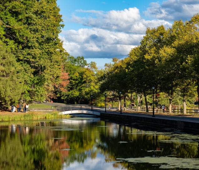 Residents enjoy a sunny day in Forest Park