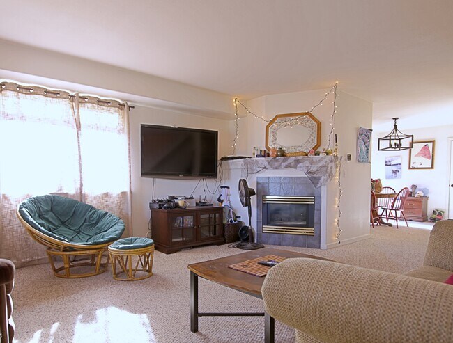 Living Room: gas Fireplace - 903 Terry St