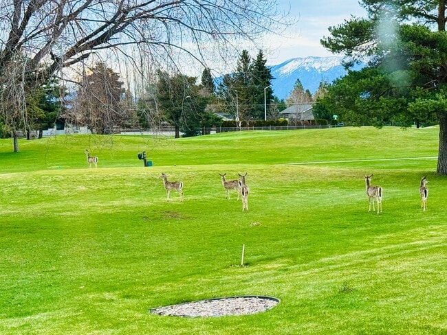 Building Photo - Stunning Kalispell Golf Course Home