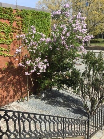 Building Photo - 332 Washington St