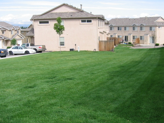 Huge grassy rear yard - 5665 Appalachian Vw