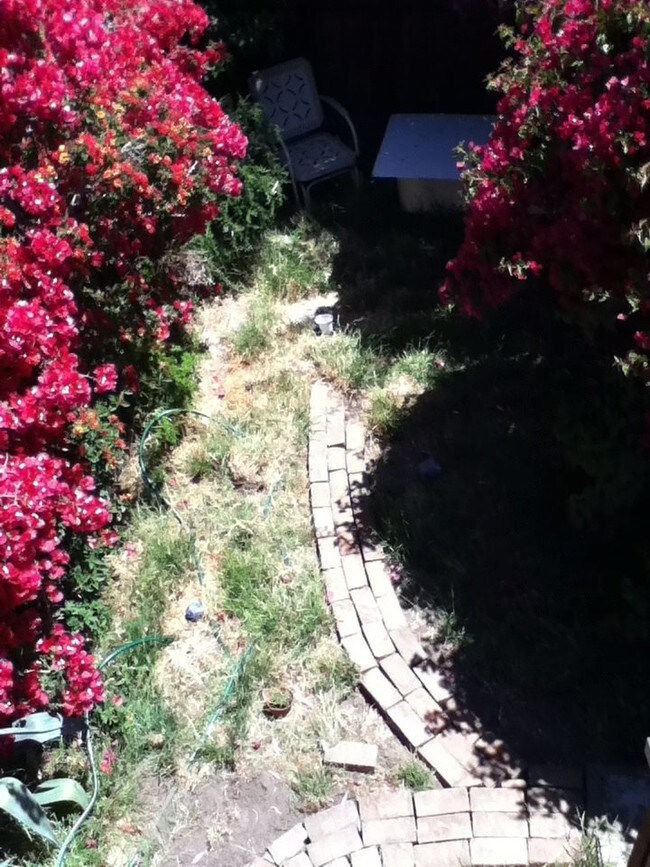 shared yard - 2661 Harrison St