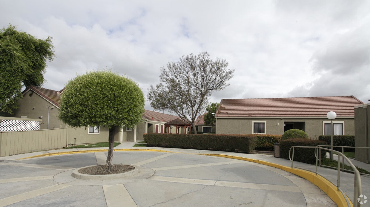 Primary Photo - Olive Tree Plaza