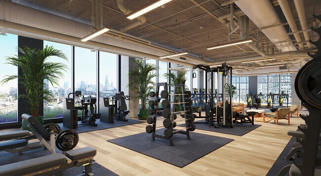 Gimnasia - Stead 220 Chicago