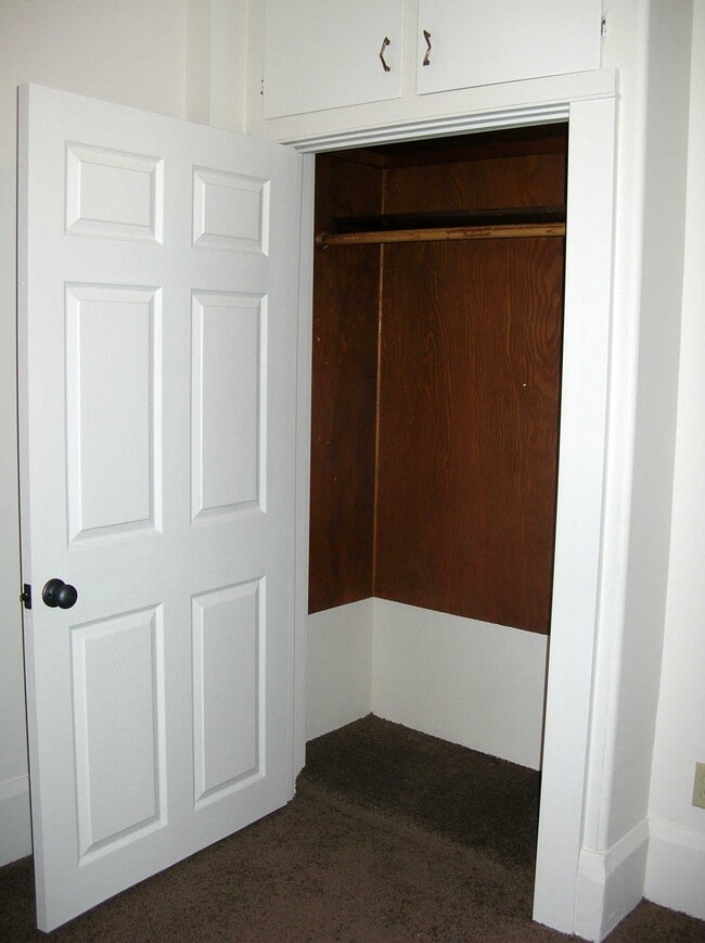 Bedroom Closet - 118 N Michigan Ave
