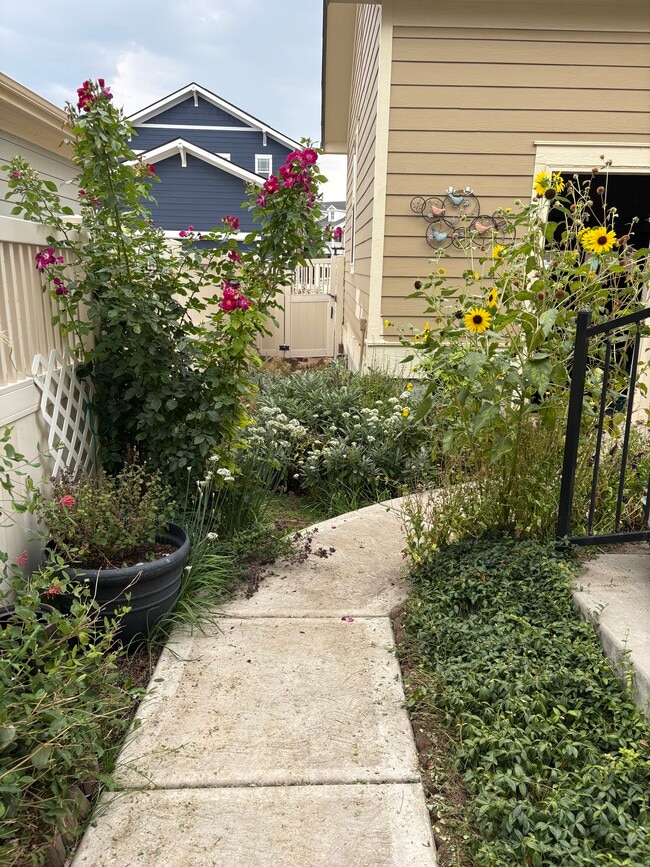 Outside walkway - 11666 Osceola St