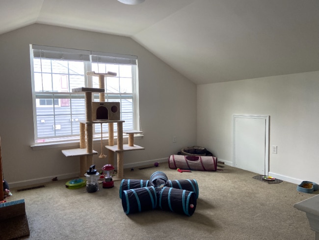 Building Photo - 1015 Chapman Cir