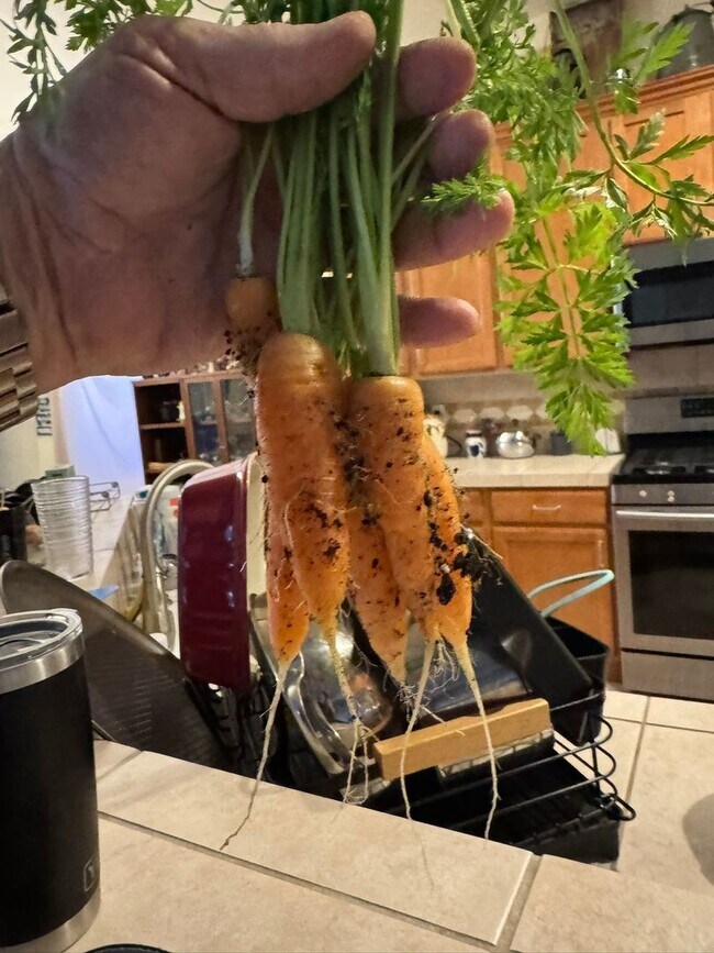 Foto del edificio - 2834