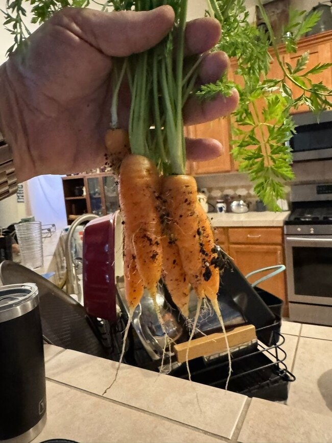 Building Photo - 2834