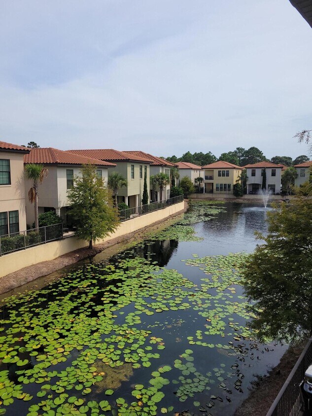Foto principal - 1942 Boardwalk Dr