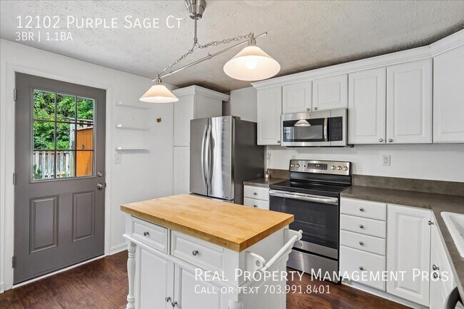 Building Photo - 12102 Purple Sage Ct